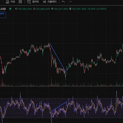 14기 11일차 다이버전스