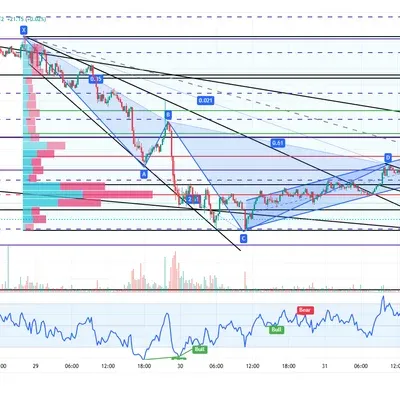 [30일 챌린지 37기 3주차]