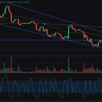 [30일 챌린지 37기 3주차]