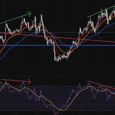 14기 2주차 다이버전스