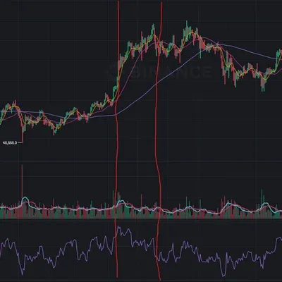 [30일 챌린지 14기 2주차]