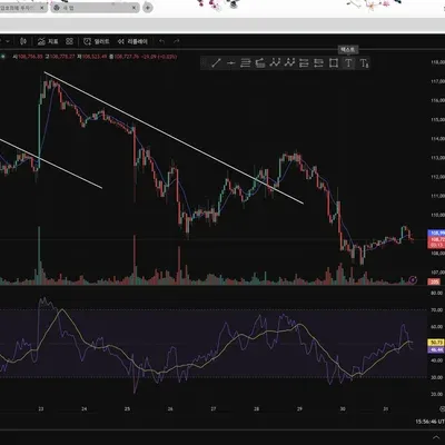 [30일 챌린지 37기 2주차]
