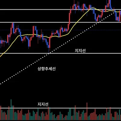 [30일 챌린지 39기 1주차] 지지 저항과 추세선