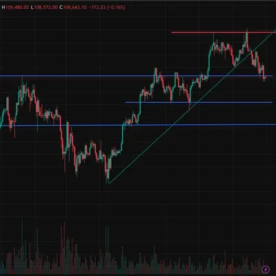 [30일 챌린지 39기 1주차]