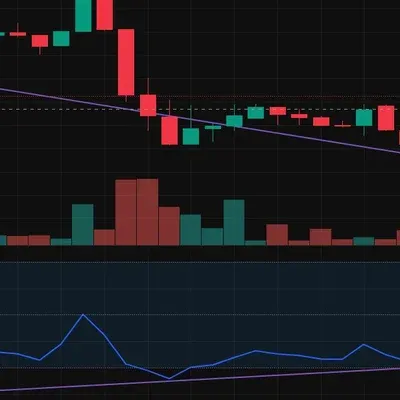 30일 챌린지 14기 11일차 미션  -다이버전스