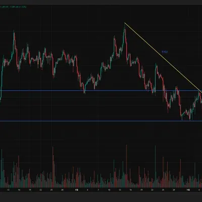 [30일 챌린지 40기 1주차] 코린이 작도해보기
