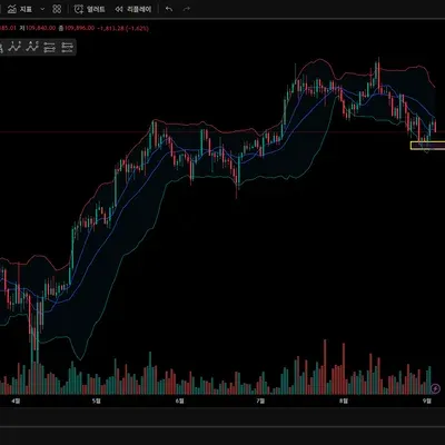 [30일 챌린지 16기 1주차] 나만의 트레이딩뷰 셋업
