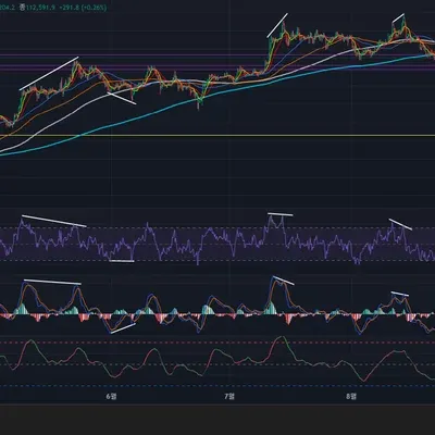 15기(11일차 MISSON) 다이버전스