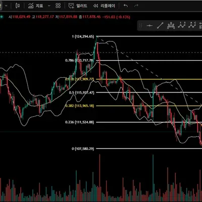 [30일 챌린지 16기 1주차] 지트콩 미션 인증