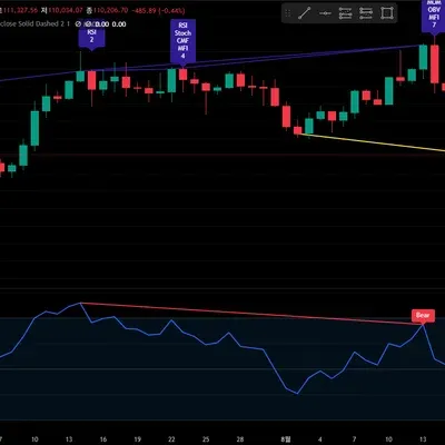 [30일 챌린지 15기 2주차] 11일차 미션 다이버전스 
