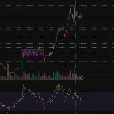 30일 챌린지 37기 4주차