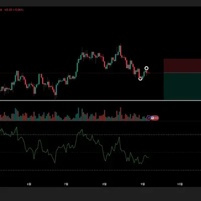 [30일 챌린지 13기 4주차] 매매일지 
