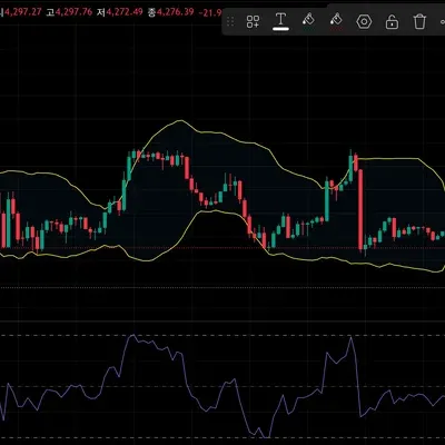 [30일 챌린지 13기 4주차]