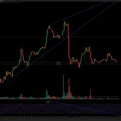 [30일 챌린지 13기 4주차] 매매일지