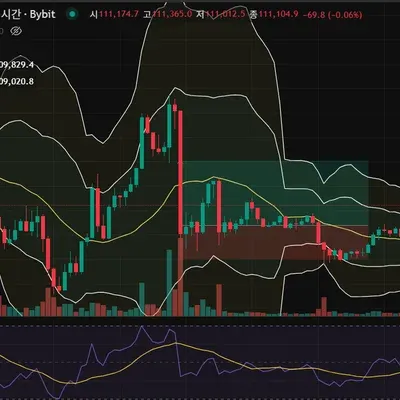 30챌린지 37기 4주차