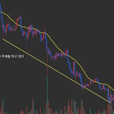  [30일 챌린지 40기 1주차]