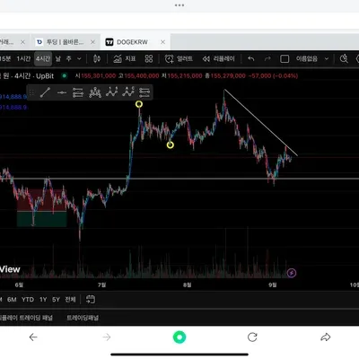 30일챌린지 16주 1주차 트레이닝뷰셋업