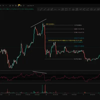 [30일 챌린지 15기 2주차] RSI 다이버전스