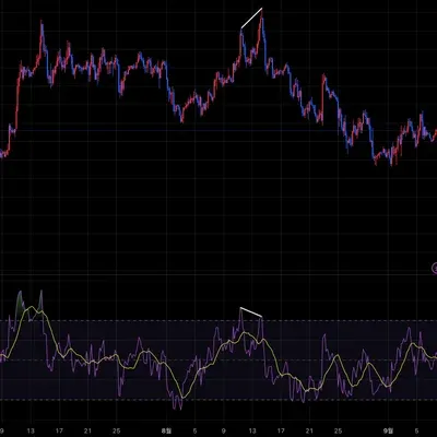 [30일 챌린지 15기 2주차] RSI 다이버전스 찾기