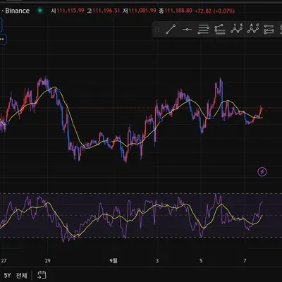 [30일챌린지 39기 2주차] RSI지표