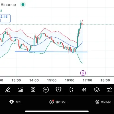 [30일 챌린지 40기 1주차] 알파카, 트레이딩뷰 인증