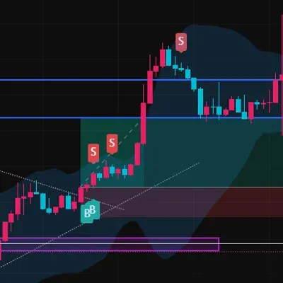 [30일 챌린지 13기 4주차]