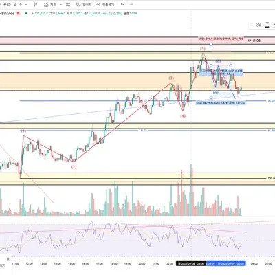 100회 트레이딩 매매일지(11/100)