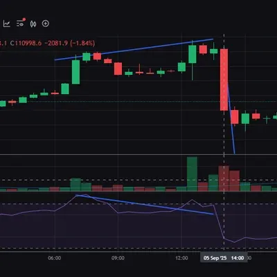 30일 챌린지 39기 2주차