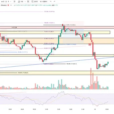 100회 트레이딩 매매일지(14/100)