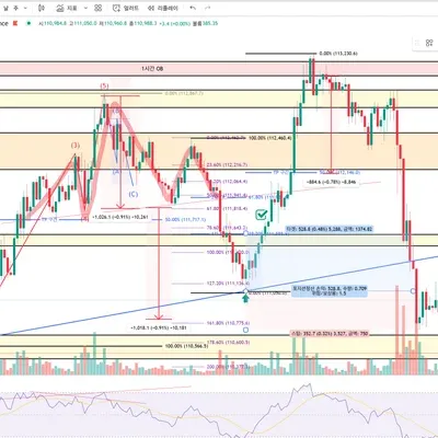 100회 트레이딩 매매일지(13/100)