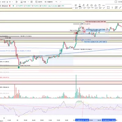 100회 트레이딩 매매일지(15~16/100)