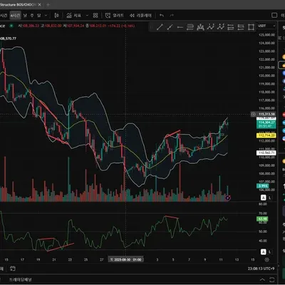 30일 챌린지 16기 <📆11일차 MISSION> RSI 다이버전스, 볼린저밴드 이해하기 