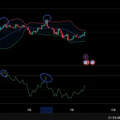 [30일 챌린지 16기 11일차 미션] 다이버전스 그리기 입니다.