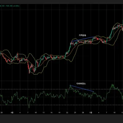 [30일 챌린지 16기 11일차 미션] 다이버전스
