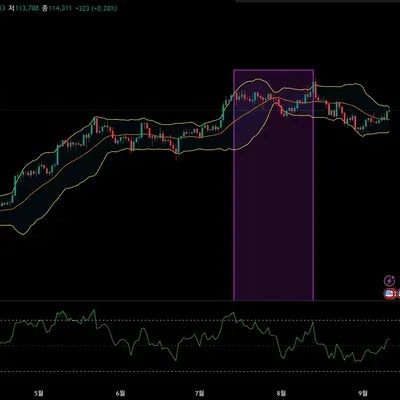 [30일 챌린지 16기 11일차 미션] 다이버전스