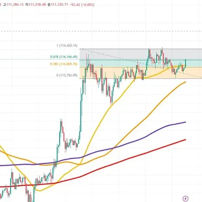 [30일 챌린지 17기 1주차]