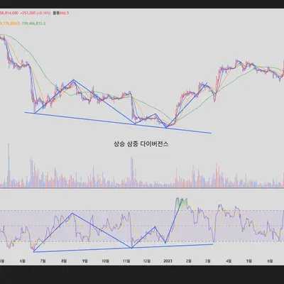 [30일 챌린지 16기 11일차 미션] 다이버전스