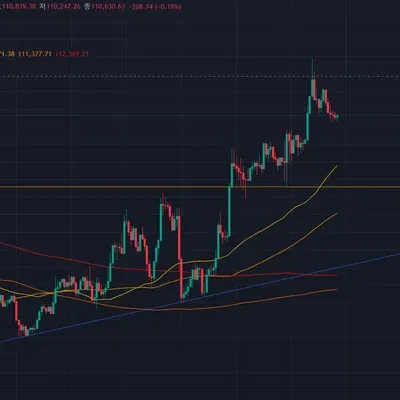 [30일 챌린지 41기 1주차]