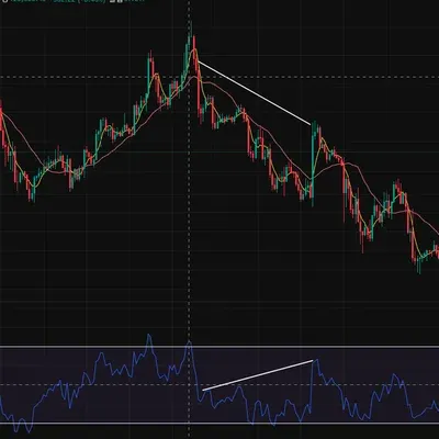 [30일 챌린지 16기 2주차] 다이버전스