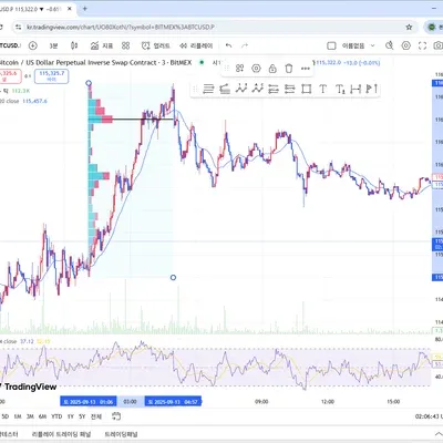 [30일 챌린지 40기 2주차] RSI와 친해지기