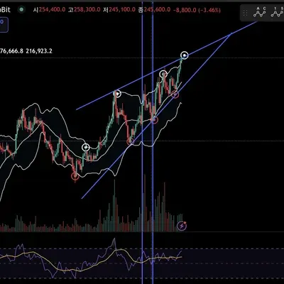 [30일 챌린지 14기 4주차 ] 