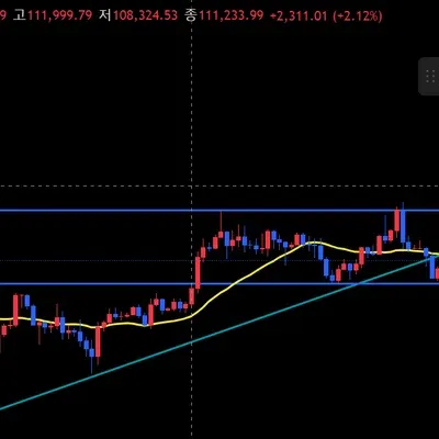 [30일 챌린지 41기 1주차]지지,저항과 추세선 작도