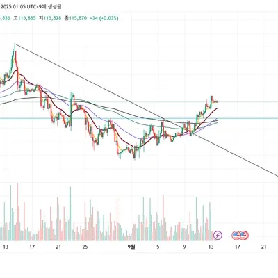 [30일 챌린지 17기 1주차] 트레이딩뷰 셋업