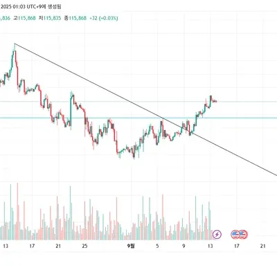 [30일 챌린지 41기 1주차] 지지 저항과 추세선
