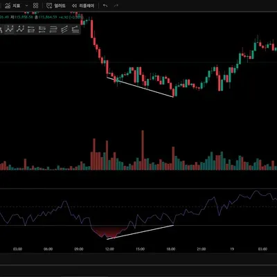 [30일 챌린지 16기 2주차] RSI 다이버전스