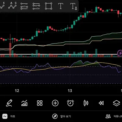 30일 챌린지 40기 2주차