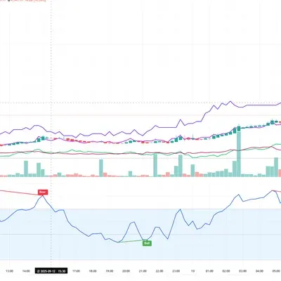 [30일 챌린지 16기 12주차] RSI 지표  다이버전스 구간