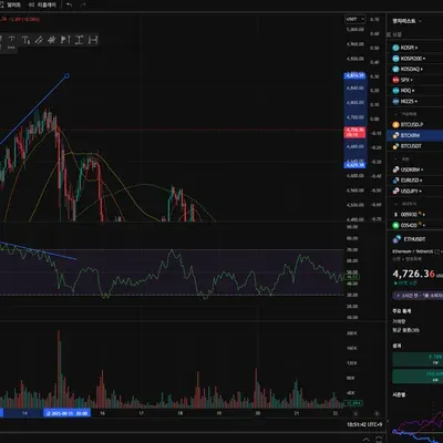 [30일 챌린지 16기 2주차] RSI 다이버전스