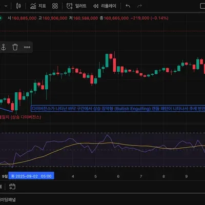 [30일 챌린지 16기 2주차] RSI 다이버전스 