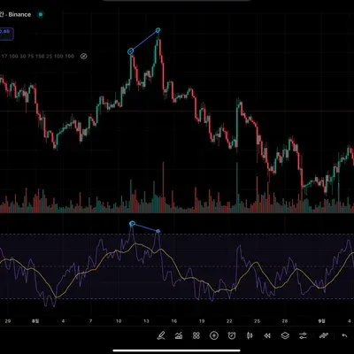 30일 챌린지 16기 2번째 RSI 다이버전스